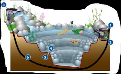 Savio Pond Package Diagram